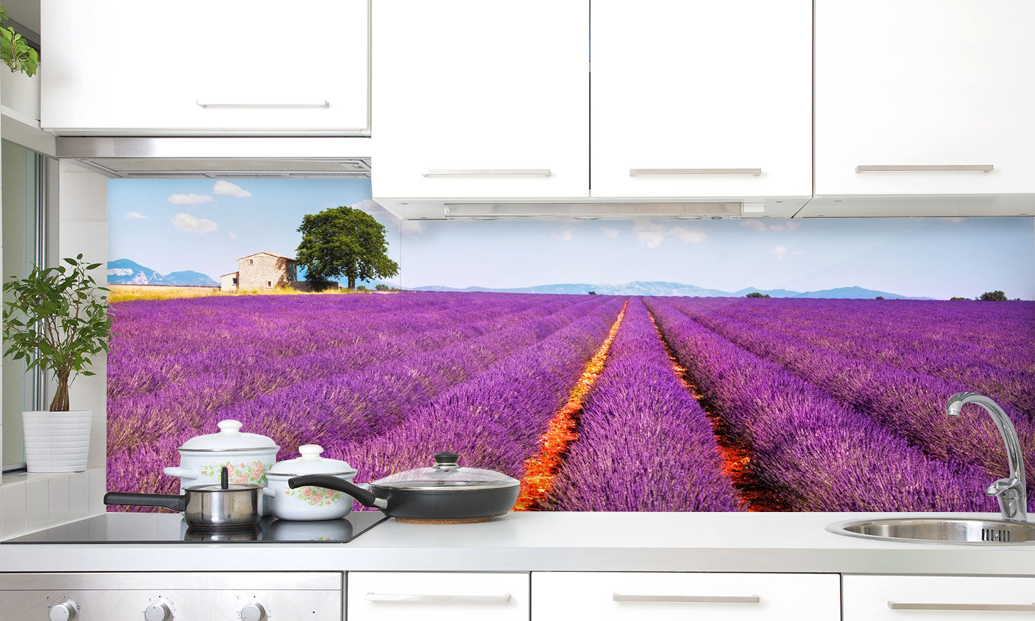 Plošče za kuhinje Lavender flowers - PVC plošče / Pleksi steklo - s tiskom za kuhinjo, Zidne obloge PKU216-Life-decor.si