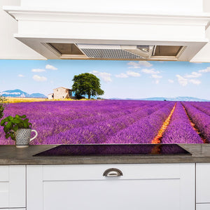 Plošče za kuhinje Lavender flowers - PVC plošče / Pleksi steklo - s tiskom za kuhinjo, Zidne obloge PKU216-Life-decor.si