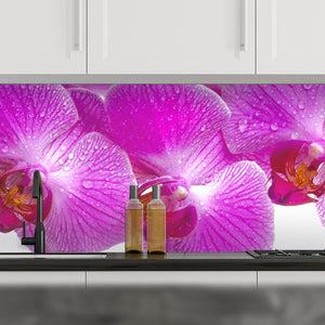 Plošče za kuhinje Orchid flower- PVC plošče / Pleksi steklo - s tiskom za kuhinjo, Zidne obloge PKU026-Life-decor.si