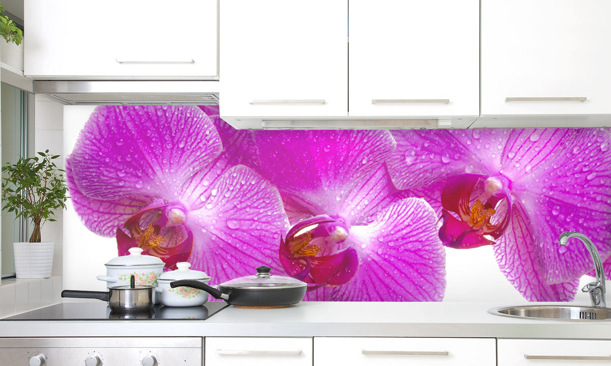 Plošče za kuhinje Orchid flower- PVC plošče / Pleksi steklo - s tiskom za kuhinjo, Zidne obloge PKU026-Life-decor.si