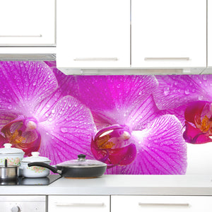 Plošče za kuhinje Orchid flower- PVC plošče / Pleksi steklo - s tiskom za kuhinjo, Zidne obloge PKU026-Life-decor.si