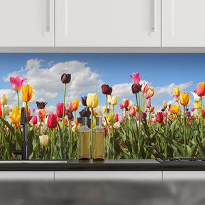 Plošče za kuhinje Panorama tulip field - PVC plošče / Pleksi steklo - s tiskom za kuhinjo, Zidne obloge PKU029-Life-decor.si