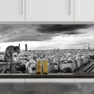 Plošče za kuhinje Paris by Notredame - PVC plošče / Pleksi steklo - s tiskom za kuhinjo, Zidne obloge PKU206-Life-decor.si