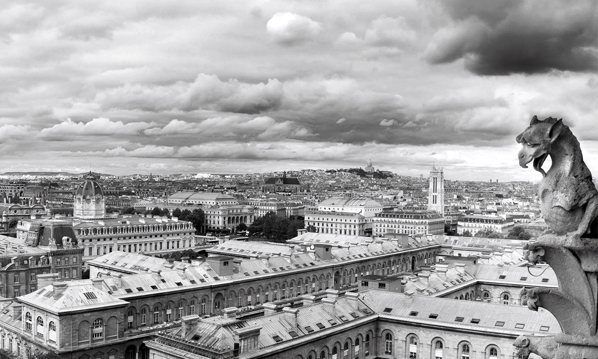 Plošče za kuhinje Paris by Notredame - PVC plošče / Pleksi steklo - s tiskom za kuhinjo, Zidne obloge PKU206-Life-decor.si