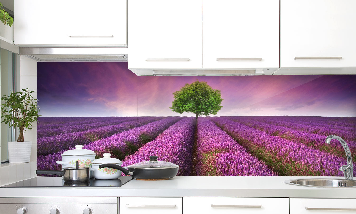 Plošče za kuhinje Stunning lavender field - PVC plošče / Pleksi steklo - s tiskom za kuhinjo, Zidne obloge PKU217-Life-decor.si