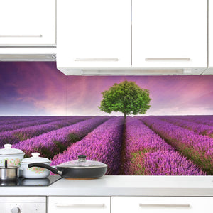 Plošče za kuhinje Stunning lavender field - PVC plošče / Pleksi steklo - s tiskom za kuhinjo, Zidne obloge PKU217-Life-decor.si