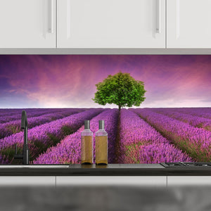 Plošče za kuhinje Stunning lavender field - PVC plošče / Pleksi steklo - s tiskom za kuhinjo, Zidne obloge PKU217-Life-decor.si