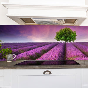 Plošče za kuhinje Stunning lavender field - PVC plošče / Pleksi steklo - s tiskom za kuhinjo, Zidne obloge PKU217-Life-decor.si