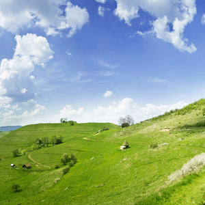 Plošče za kuhinje Summer scene - PVC plošče / Pleksi steklo - s tiskom za kuhinjo, Zidne obloge PKU215-Life-decor.si