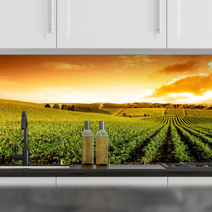 Plošče za kuhinje Sunset Vineyard Panorama - PVC plošče / Pleksi steklo - s tiskom za kuhinjo, Zidne obloge PKU237-Life-decor.si