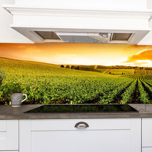 Plošče za kuhinje Sunset Vineyard Panorama - PVC plošče / Pleksi steklo - s tiskom za kuhinjo, Zidne obloge PKU237-Life-decor.si