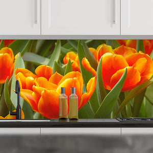 Plošče za kuhinje Tulips - PVC plošče / Pleksi steklo - s tiskom za kuhinjo, Zidne obloge PKU018-Life-decor.si