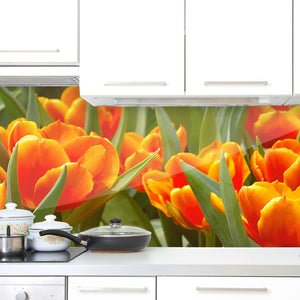 Plošče za kuhinje Tulips - PVC plošče / Pleksi steklo - s tiskom za kuhinjo, Zidne obloge PKU018-Life-decor.si