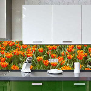 Plošče za kuhinje Tulips - PVC plošče / Pleksi steklo - s tiskom za kuhinjo, Zidne obloge PKU018-Life-decor.si