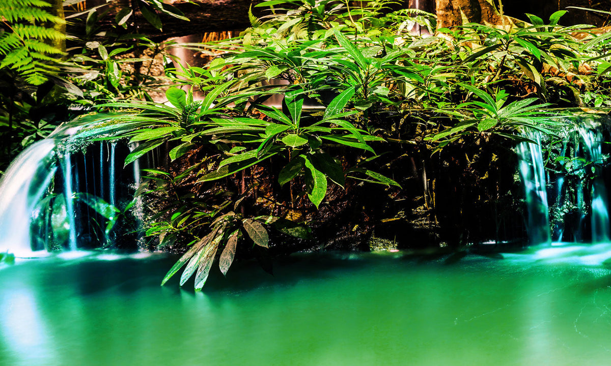 Plošče za kuhinje Waterfall in garden design - PVC plošče / Pleksi steklo - s tiskom za kuhinjo, Zidne obloge PKU234-Life-decor.si