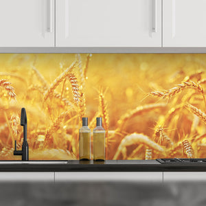 Plošče za kuhinje Wheat field - PVC plošče / Pleksi steklo - s tiskom za kuhinjo, Zidne obloge PKU017-Life-decor.si