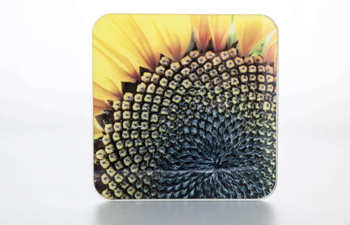 Podstavki za kozarce - Sunflower CO003-Life-decor.si