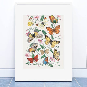 Butterfly & moth painting. Digitally enhanced from our own 1842 edition of Le Jardin Des Plantes by Paul Gervais, poster  PS006