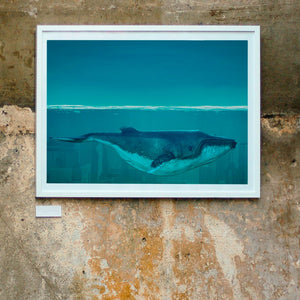 Whale in the ocean, poster  PS011