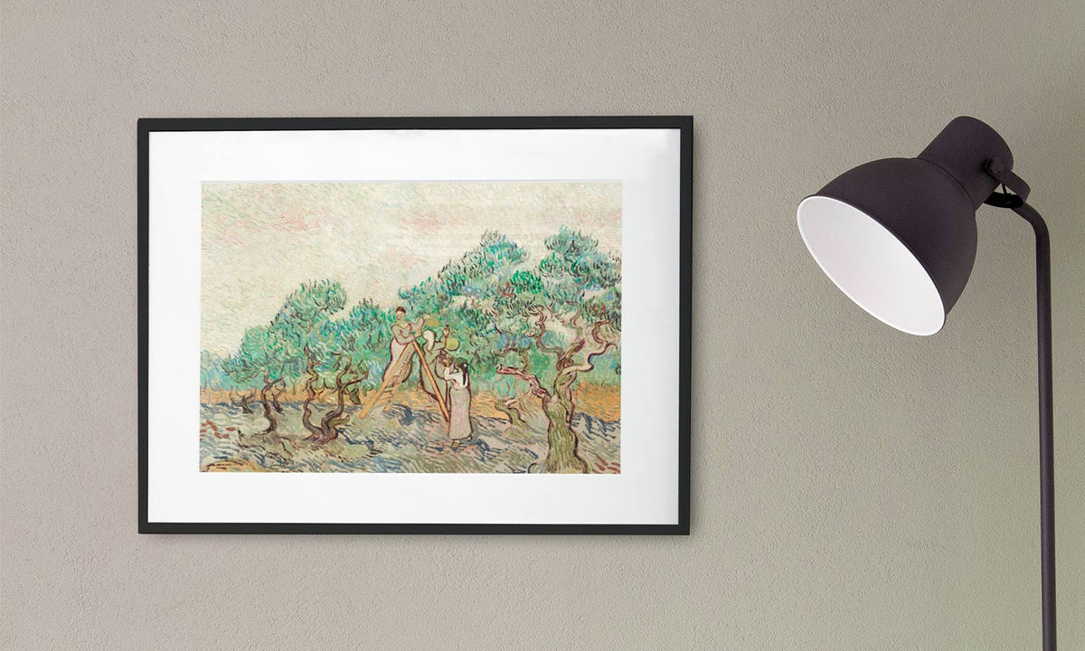 The Olive Orchard (1889) by Vincent van Gogh., poster  PS112
