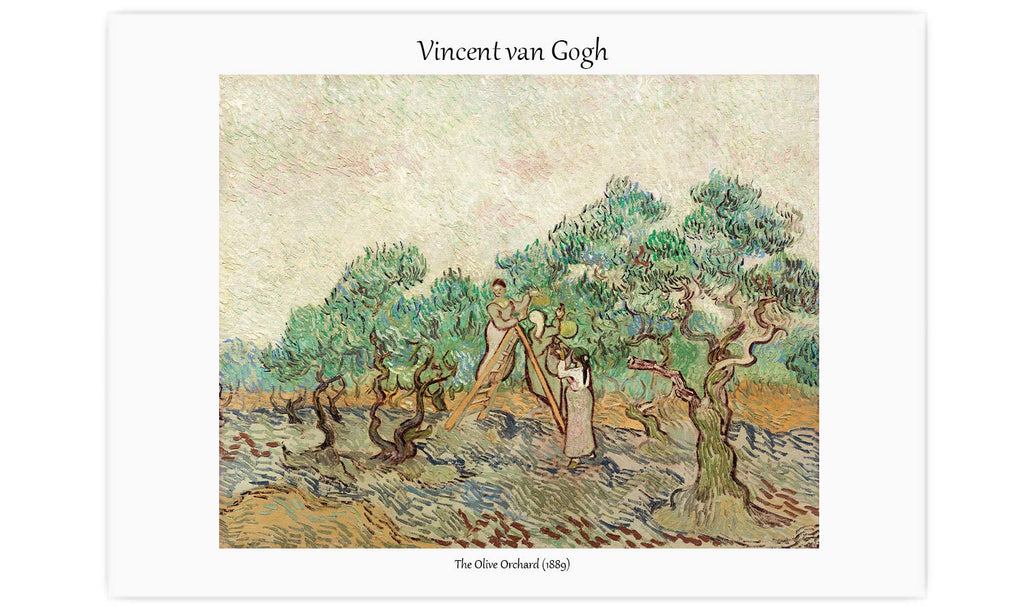 The Olive Orchard (1889) by Vincent van Gogh., poster  PS112