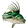 Roosterfish nalepke, samolepilne - AUR091-Life-decor.si