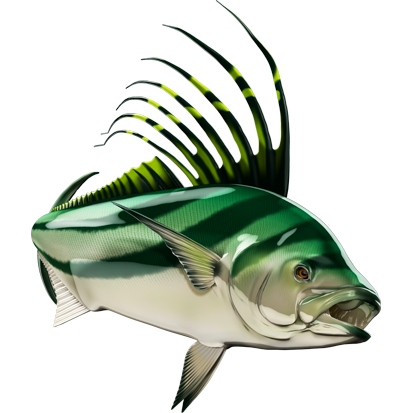 Roosterfish nalepke, samolepilne - AUR091-Life-decor.si