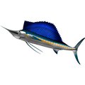 Sailfish nalepke, samolepilne - AUR092-Life-decor.si