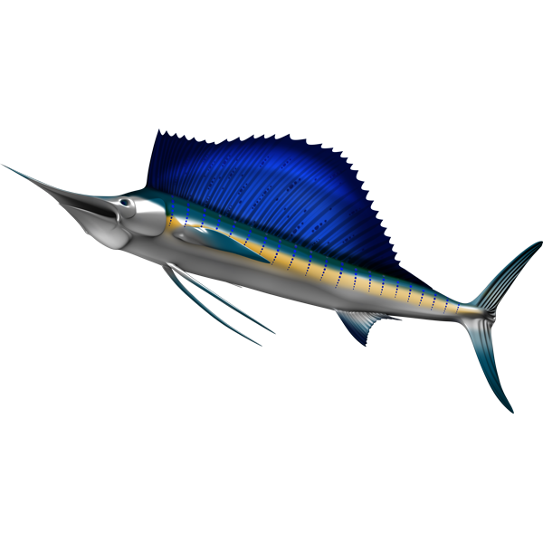 Sailfish nalepke, samolepilne - AUR092-Life-decor.si