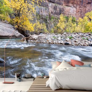 Samolepilne stenske Fototapeta Autumn on the virgin river SW294-Life-decor.si