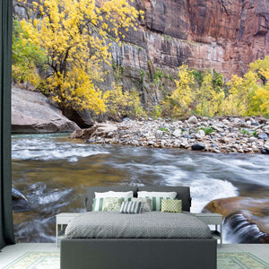 Samolepilne stenske Fototapeta Autumn on the virgin river SW294-Life-decor.si