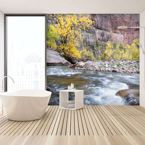 Samolepilne stenske Fototapeta Autumn on the virgin river SW294-Life-decor.si