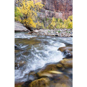 Samolepilne stenske Fototapeta Autumn on the virgin river SW294-Life-decor.si