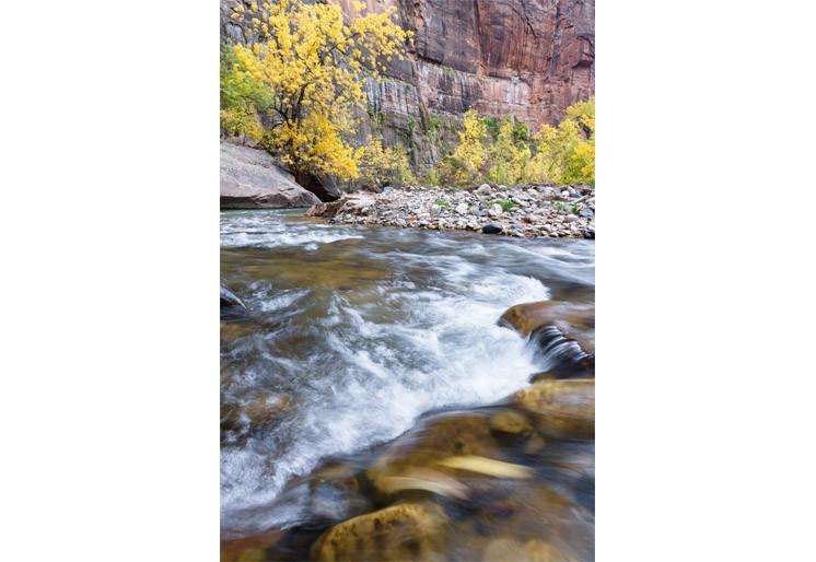 Samolepilne stenske Fototapeta Autumn on the virgin river SW294-Life-decor.si