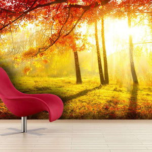 Samolepilne stenske Fototapeta Autumnal Park SW093-Life-decor.si