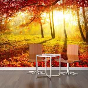 Samolepilne stenske Fototapeta Autumnal Park SW093-Life-decor.si