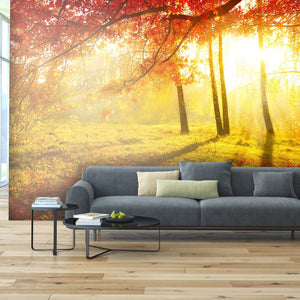 Samolepilne stenske Fototapeta Autumnal Park SW093-Life-decor.si