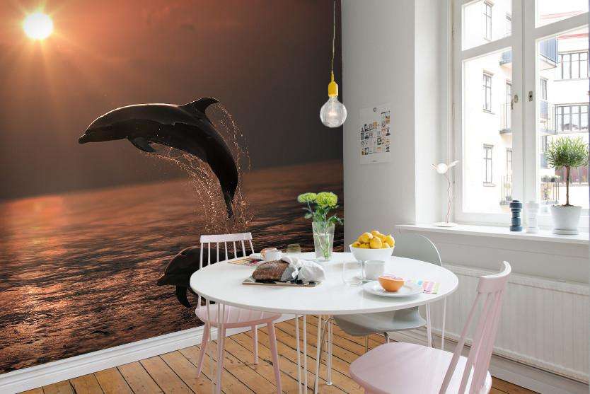 Samolepilne stenske Fototapeta Beautiful Dolphins SW398-Life-decor.si