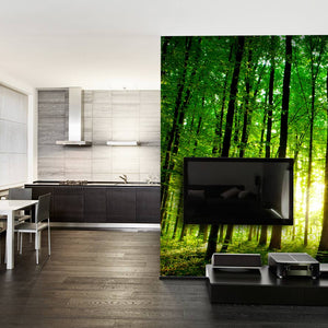 Samolepilne stenske Fototapeta beautiful green forest SW243-Life-decor.si