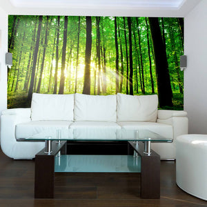 Samolepilne stenske Fototapeta beautiful green forest SW243-Life-decor.si