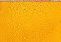 Samolepilne stenske Fototapeta beer glass SW169-Life-decor.si