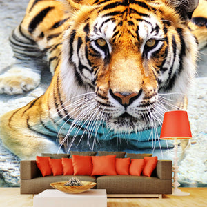 Samolepilne stenske Fototapeta Bengal Tiger SW021-Life-decor.si