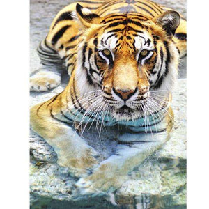 Samolepilne stenske Fototapeta Bengal Tiger SW021-Life-decor.si