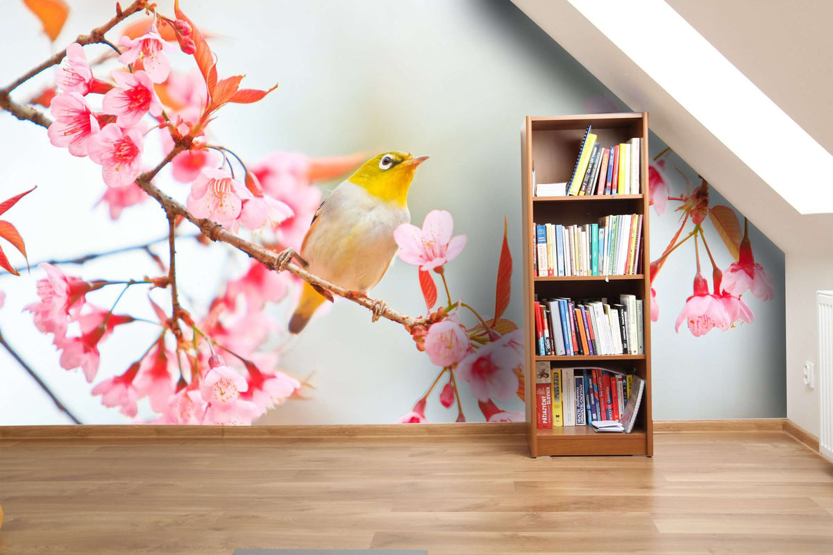 Samolepilne stenske Fototapeta Bird on Cherry Blossom SW147-Life-decor.si