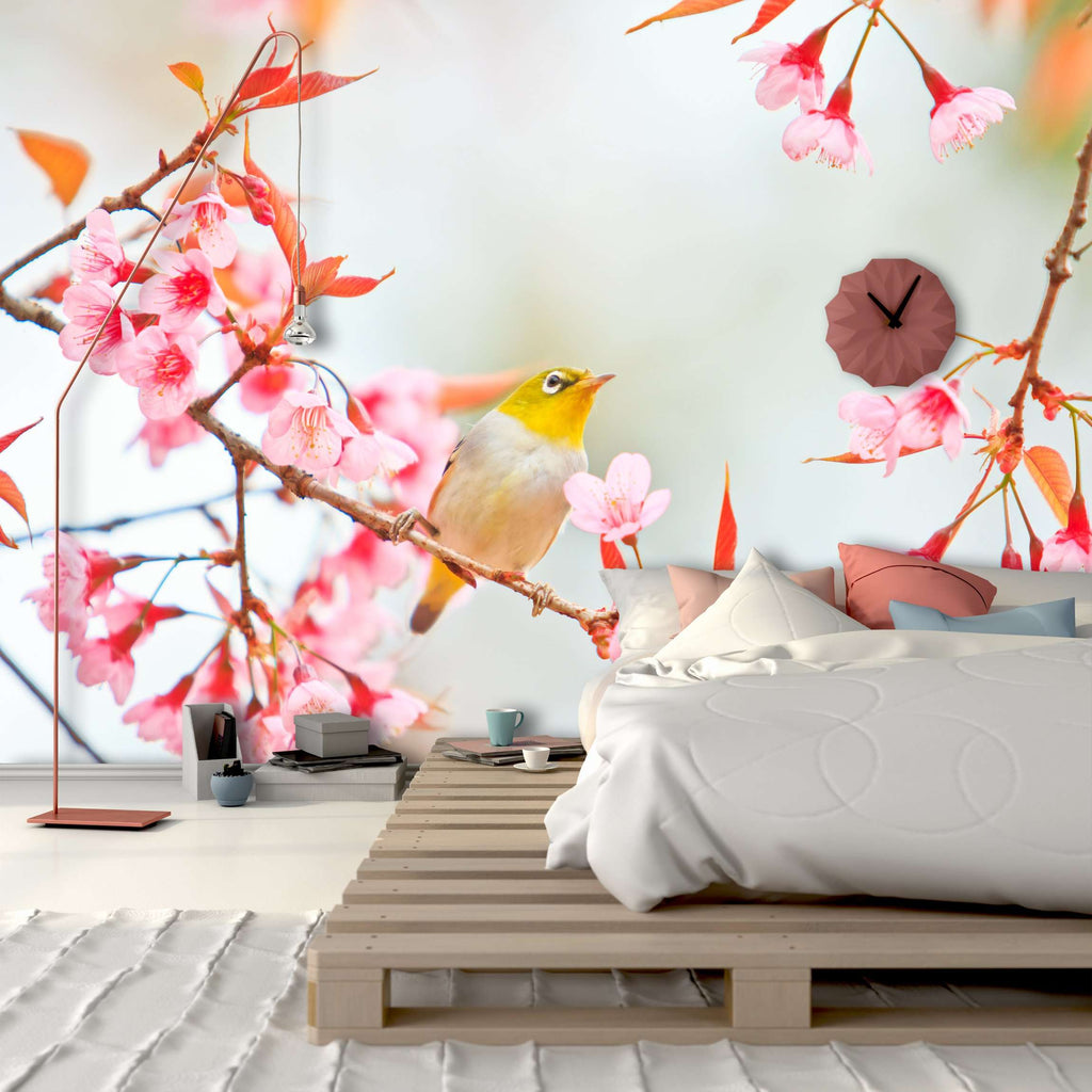 Samolepilne stenske Fototapeta Bird on Cherry Blossom SW147-Life-decor.si