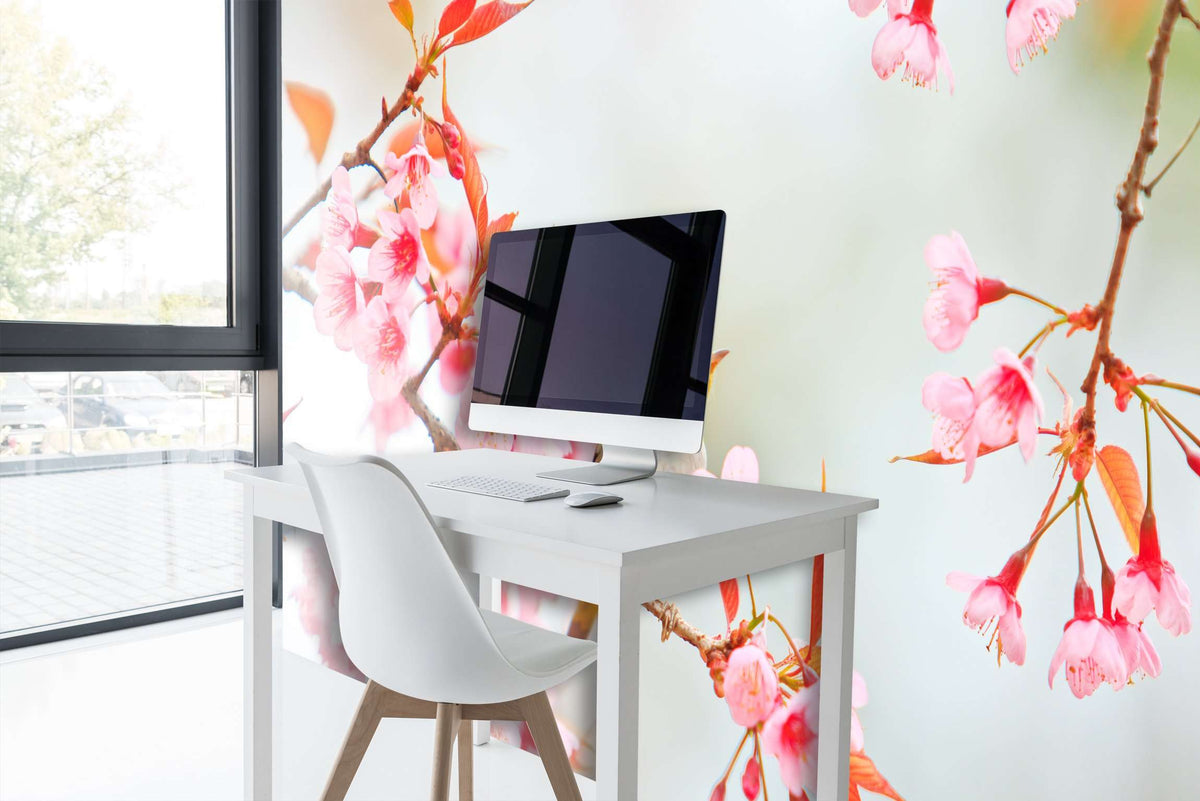 Samolepilne stenske Fototapeta Bird on Cherry Blossom SW147-Life-decor.si
