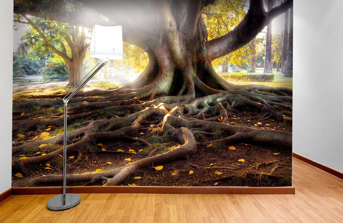 Samolepilne stenske Fototapeta Centenarian Tree SW126-Life-decor.si