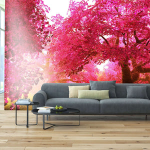 Samolepilne stenske Fototapeta Cherry Blossoms Trees SW073-Life-decor.si