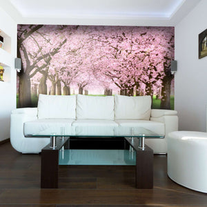 Samolepilne stenske Fototapeta Cherry trees SW019-Life-decor.si