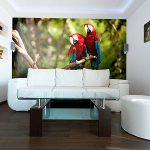 Samolepilne stenske Fototapeta Colorful Macaw SW023-Life-decor.si